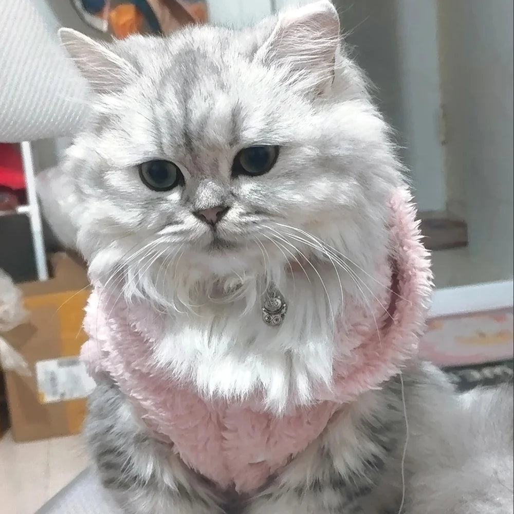 Rabbit Ears Cute Cat Clothes For Small Medium Dogs Cats Puppy Soft Pet Outfits Cozy Pets Kitty Coat Winter Warm Sphynx Hoodie