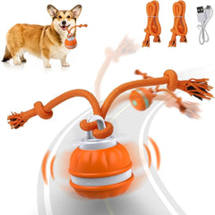 Pet Ball for Dogs Interactive Toys Motion Activate Rolling Ball for Puppy/Small Dogs Automatic Moving Toy USB Rechargeable Toy