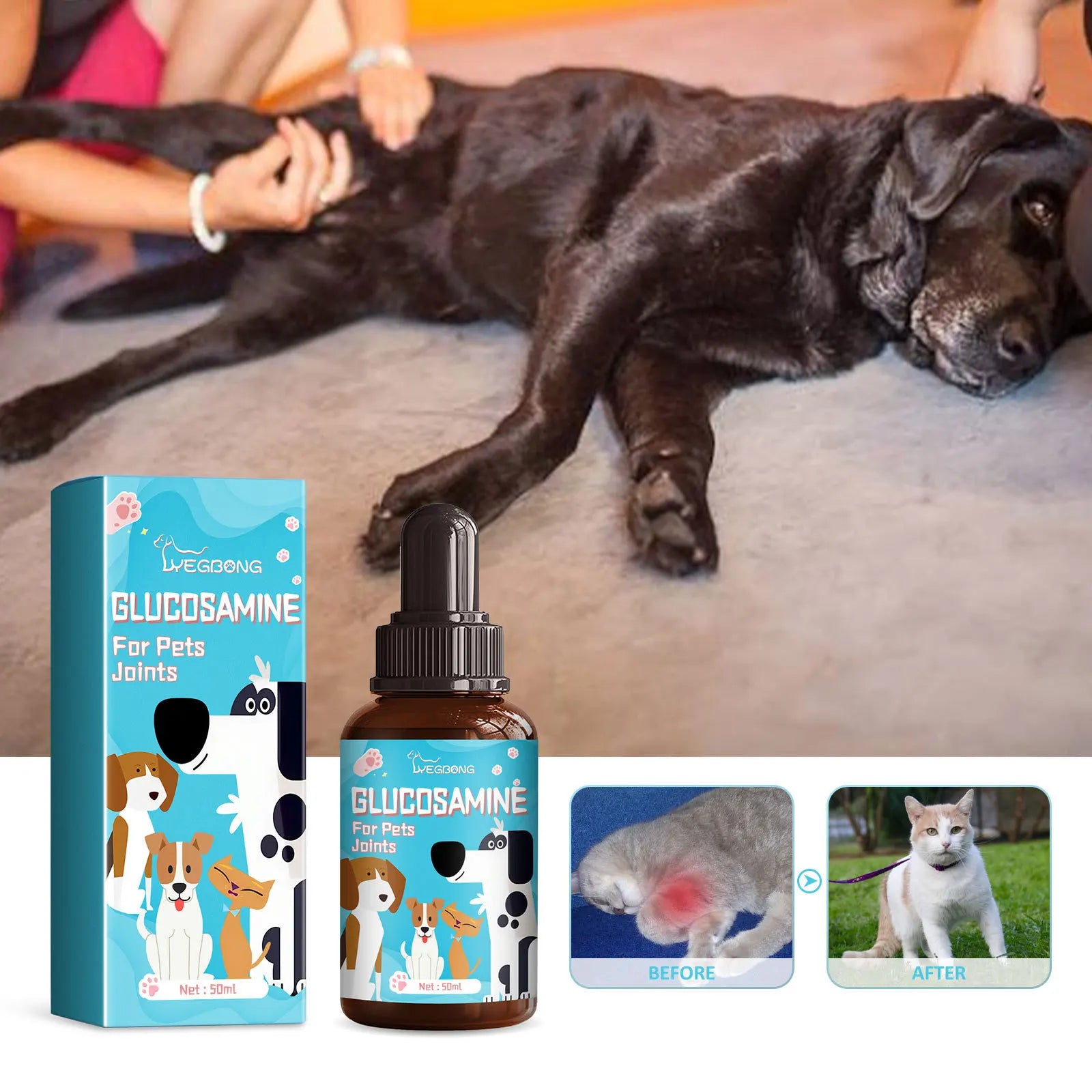 Dog Joint Glucosamine Drop Joint Hip Relief Joint Care Supplement Arthritis Deformities Repair Condition Bone Pet Body Care Drop