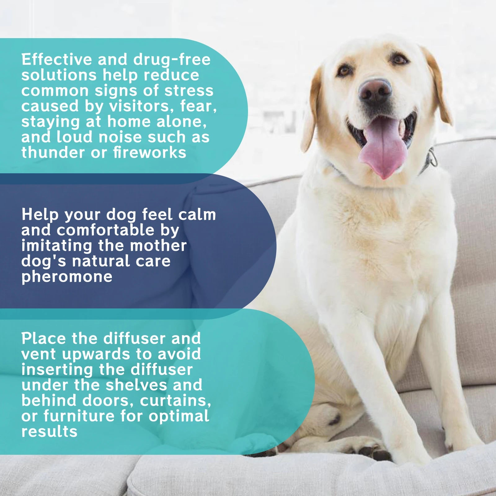 Pet Emotion Care Liquid: Calming and Soothing Care Liquid to Relieve Anxiety in Cats and Dogs