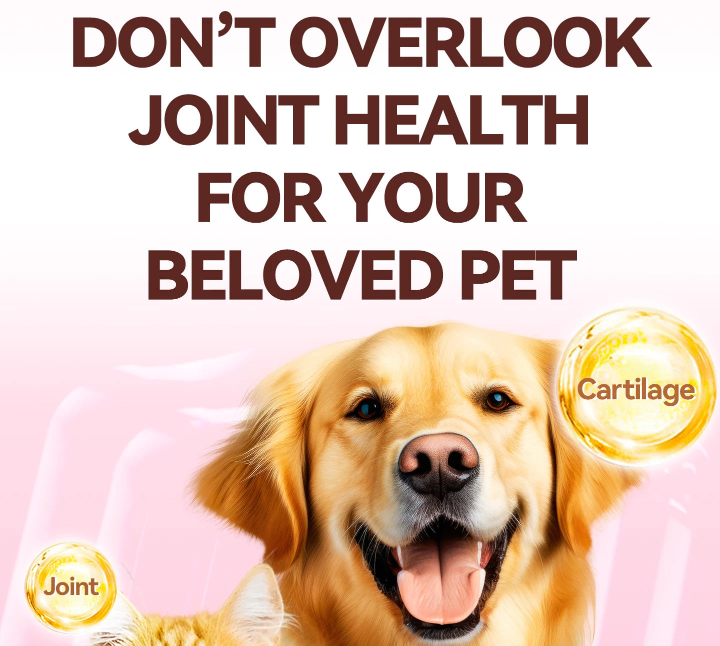 chanbuni Cat Food Food for Cats Cat Treats Treats for Cats Cat Calcium Tablets Joint Protection Exclusive for Pet Cats and Dogs