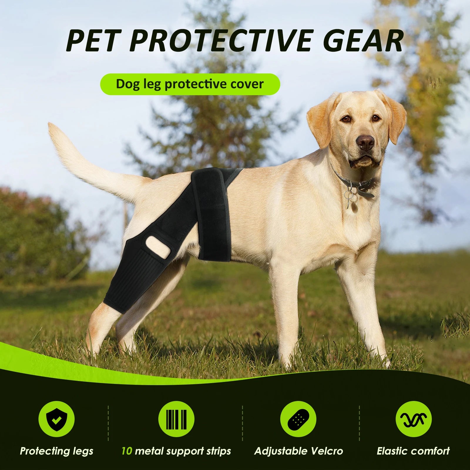 Pet Knee Brace Adjustable Comfortable Dog Leg Hip Brace Support Bar for Dog Hip Luxating Patella Post-operative Fixation New