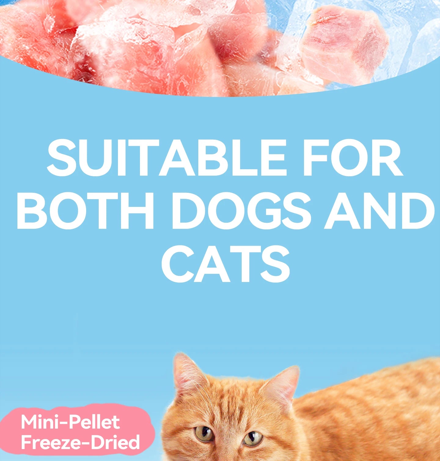 Chanbuni Cat Snack Food Cats Cat Food Food for Cats Sweets for Dogs Baby Valley for a Dog Natural Pet Treats