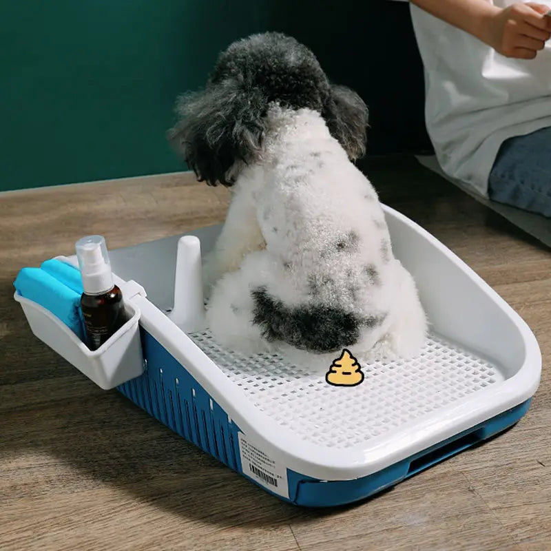 Animal Pet Dog Hygiene Cleaning Supplies Portable Dog Toilet Double Layer Dog Mat Training Cat Puppy Pee Toilet Accessories