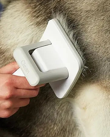 Dog Grooming Vacuum, Kit,12000Pa Strong Pet for S, 2L Large Capacity Shedding Hair, , 5 Tools, Quiet,PG100