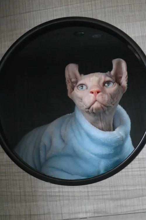 Fashionable Clothes For Cats Sphynx Cat Sweater Kitten Clothing Hound Dog Hoodie Clothes For Sphinx Cat Outfit Pet Jumpsuits