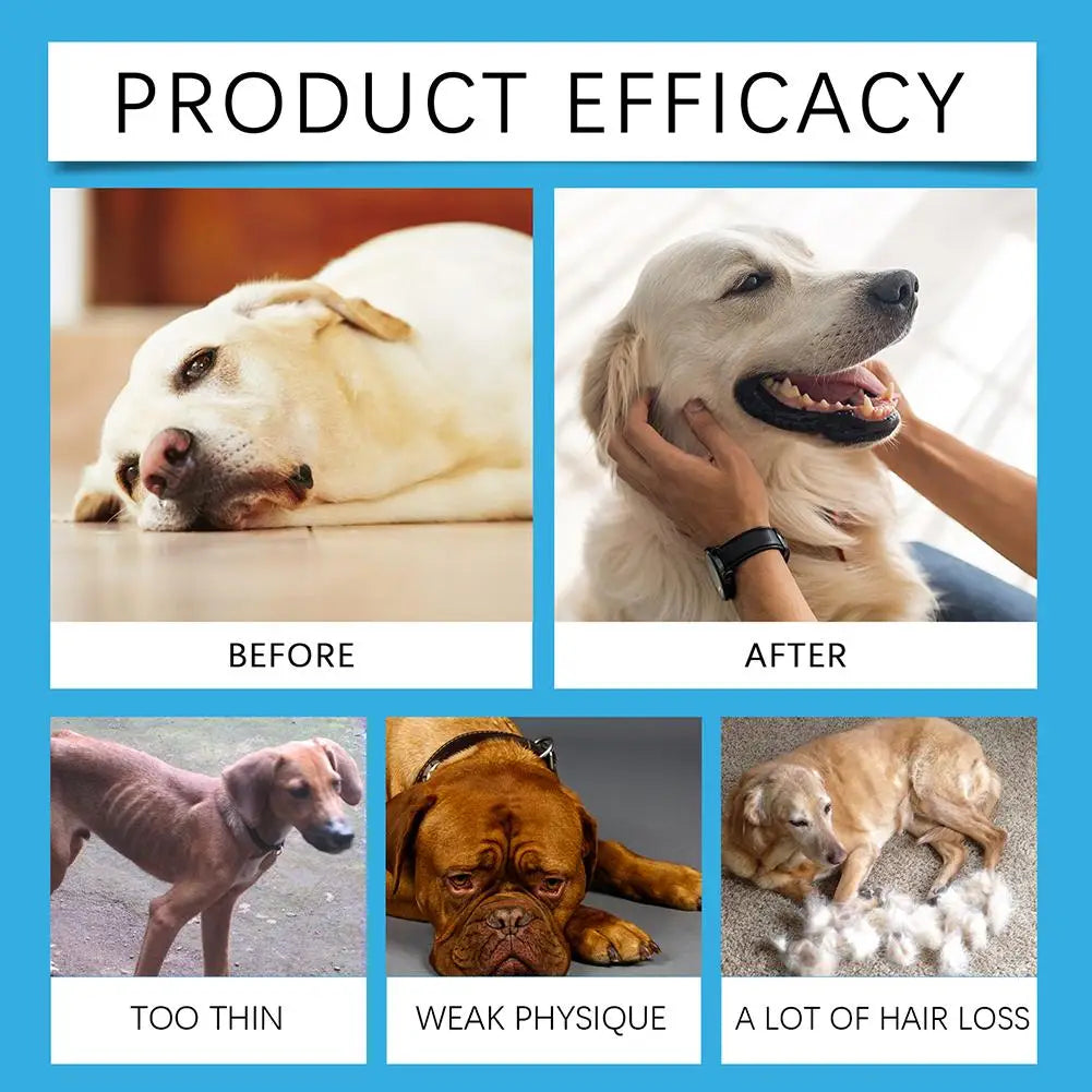 Pet Cough Drop Herbal Allergy Relief Immune Supplement Cough Treatment For Dogs Cats Discomfort Sneezing Treatment