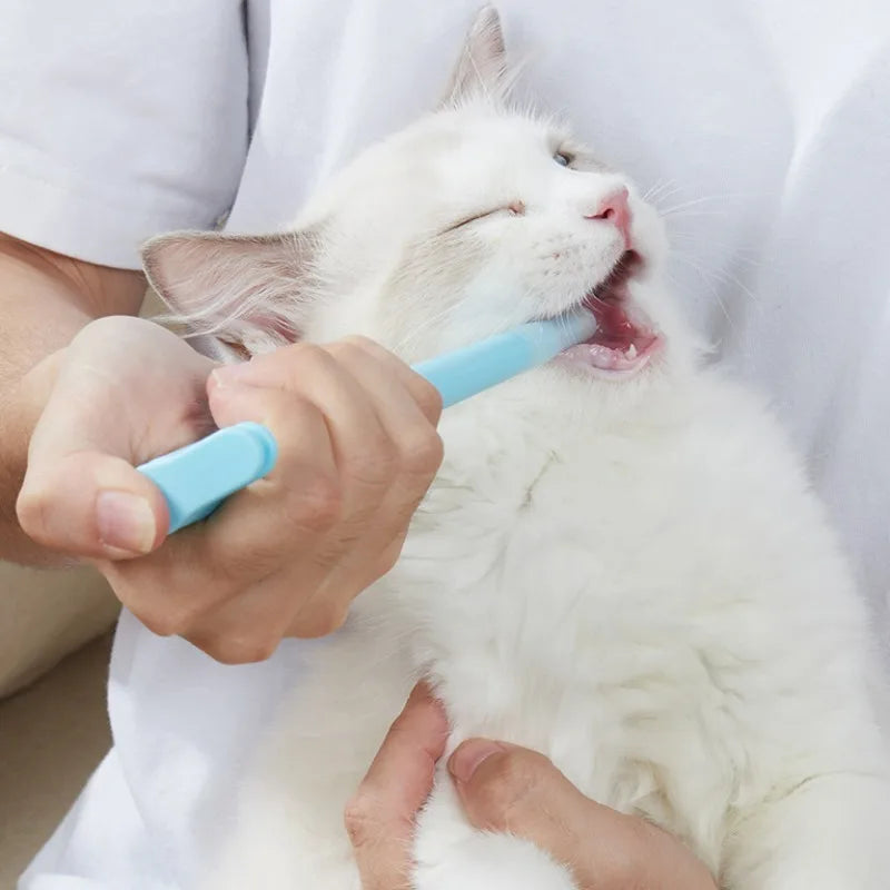 Pet Medicine Feeder Cats Dogs Portable Novel Shape Simple Feeding Insect Repellent Tablets Easy Use Pet Medicine Feeder Used