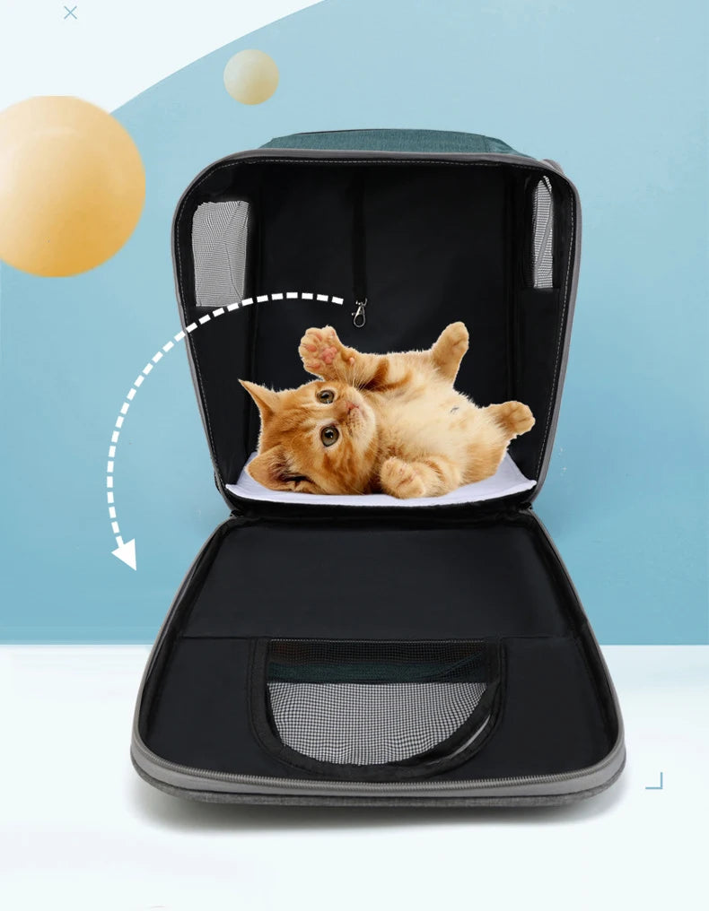 Pet Carrier Backpack for Cats Three-Sided Breathable Thickened Wear-Resistant Sun-Protective Travel Cat Bag Portable Pet Luggage