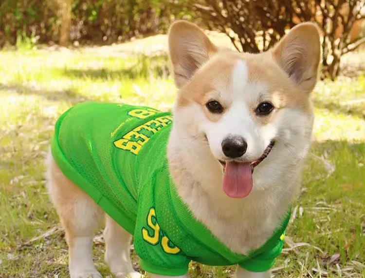Keep your furry friend cool and stylish this summer with the CAIBAN Summer Pet Cooling Vest — perfect for small to large dogs, including French Bulldogs, Golden Retrievers, and more!