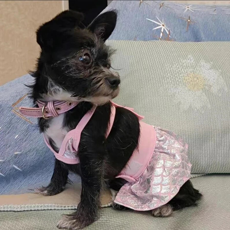 Dog Bikini Swimsuit Summer Puppy Bathing Dress Beach Clothes Cat Costume for Puppy Dog Cat Mermaid Pet Bikini for Chihuahua Pug