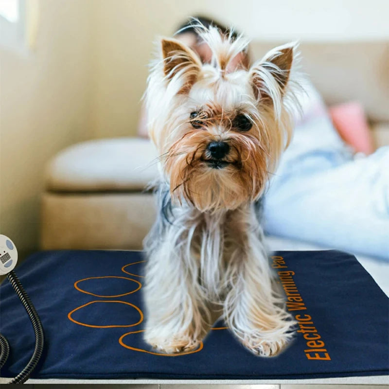 Waterproof Pet Heating Pad for Dogs & Cats – Electric Winter Warmer Blanket 45×60cm | Adjustable Temperature, Anti-Bite Wire & Auto Power-Off Safety