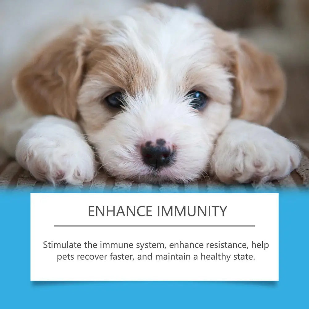 Pet Cough Drop Herbal Allergy Relief Immune Supplement Cough Treatment For Dogs Cats Discomfort Sneezing Treatment