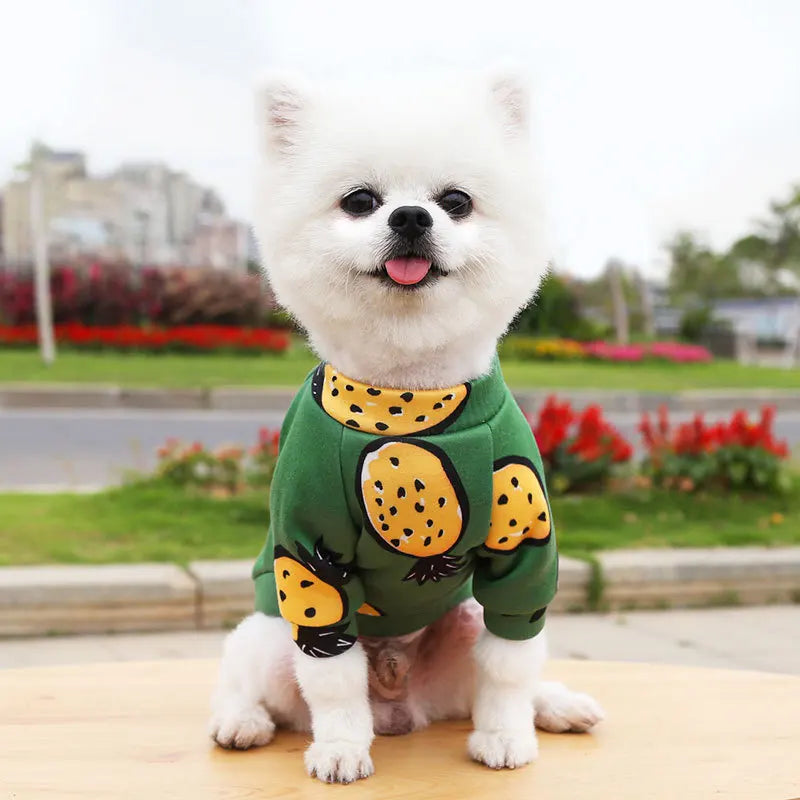 Small Dog Hoodie Coat Winter Warm Pet Clothes for Bulldog Chihuahua Shih Tzu Sweatshirt Puppy Cat Pullover Dogs
