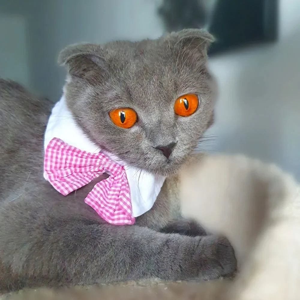 Dog Cat Tuxedo Collar Cat Wedding Bowtie Puppy Bow Tie Tux Collar Costume Birthday Easter Valentines Dog Bowtie Pet Accessories