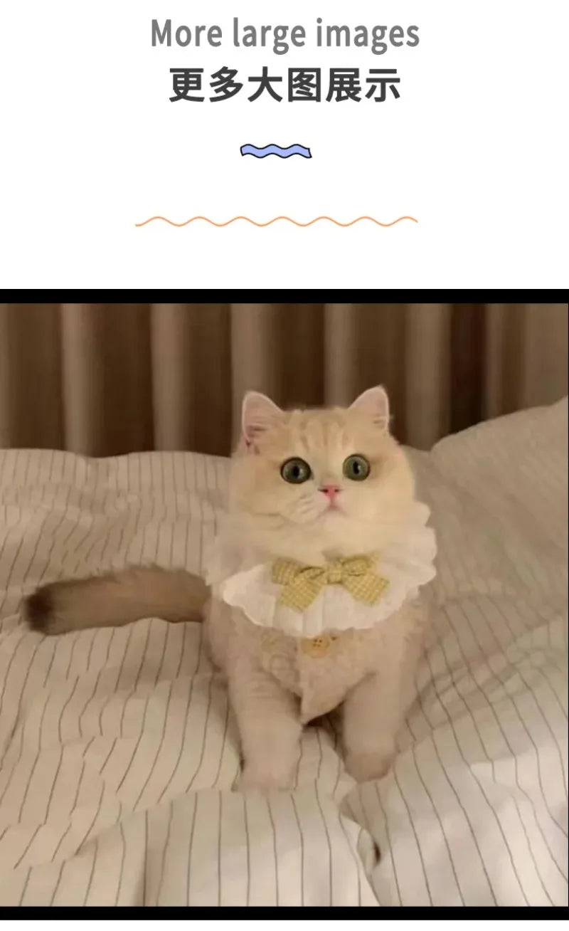 Cat Clothes Warm Lambhair Vest Soft Cozy Winter Warm Fleece Sweatshirt Puppy Kitten Jacket Coat Pet Sphynx Costume Sweater 고양이