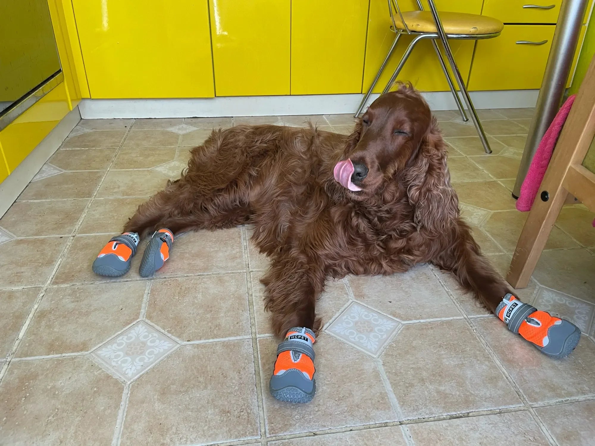 4pcs/set Pet Dog Shoes Reflective Waterproof Dog Boots Warm Snow Rain Pets Booties Anti-slip Socks Footwear For Medium Large Dog