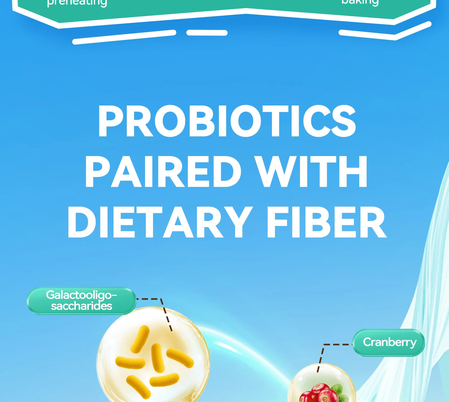 Chanbuni Cat Food Cat Snack Food for Cats Cat Supplies Premium Nutrition for Cats and Carats