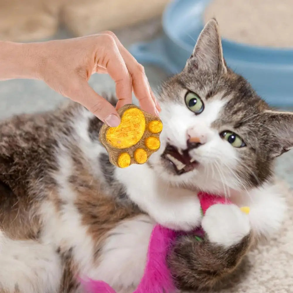 Paw Shape Cat Snack Natural Freeze-dried Cat Paw Footprint Shaped Biscuits Cat Treats Oral Cleaning For Cats Pets