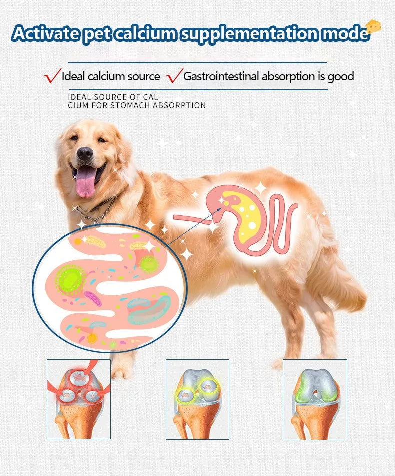 Pet Freeze-dried Food High Calcium Cheese Rich in Nutrients Cat Dog Snacks Aid Digestion Snacks Calcium Supplements Dairy tablet