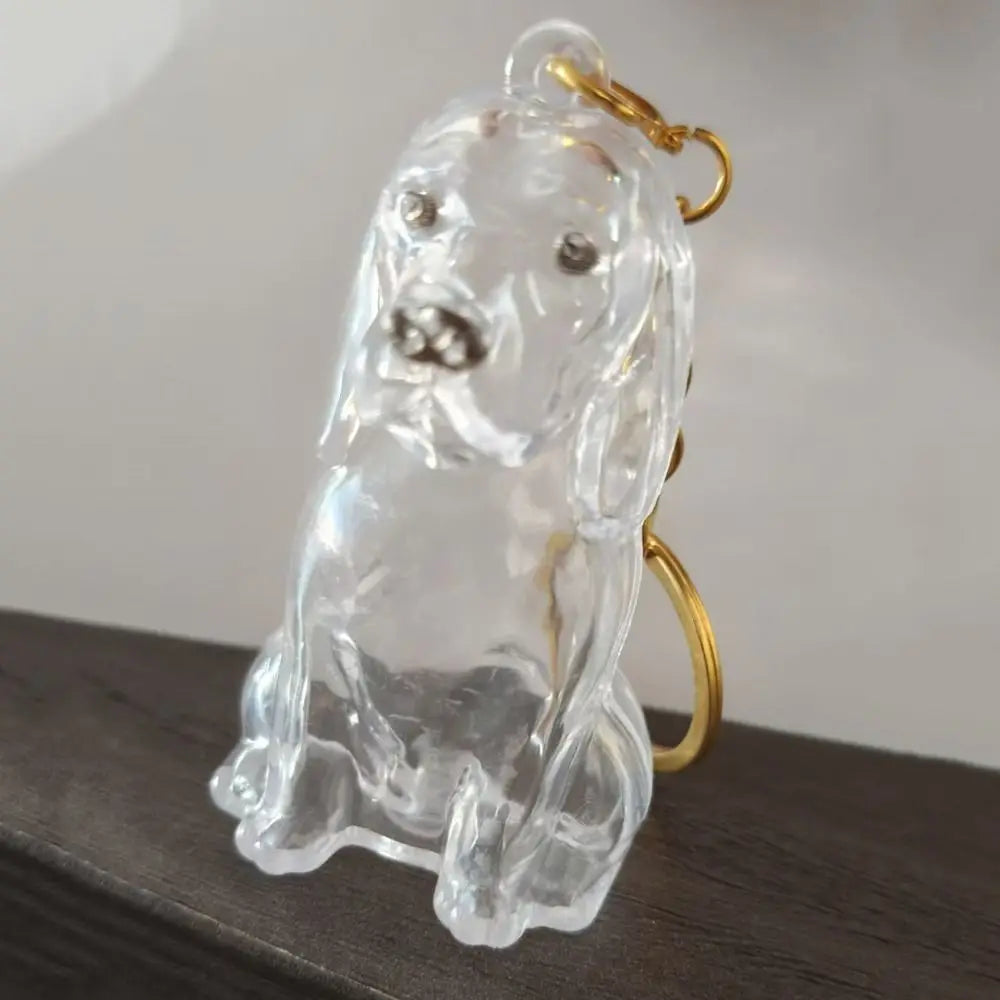 Dog Shape Dog Hair Storage Box Transparent DIY Handmade Pet Hair Keychain Hair Grooming Acrylic Puppy Pendants Jewelry Gift