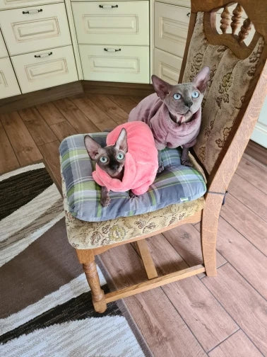 Fashionable Clothes For Cats Sphynx Cat Sweater Kitten Clothing Hound Dog Hoodie Clothes For Sphinx Cat Outfit Pet Jumpsuits