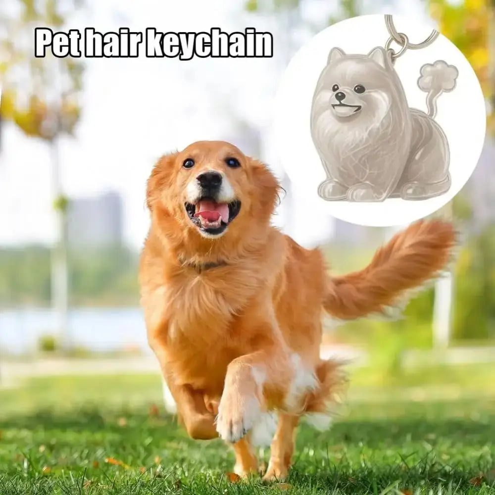 Dog Shape Dog Hair Storage Box Transparent DIY Handmade Pet Hair Keychain Hair Grooming Acrylic Puppy Pendants Jewelry Gift