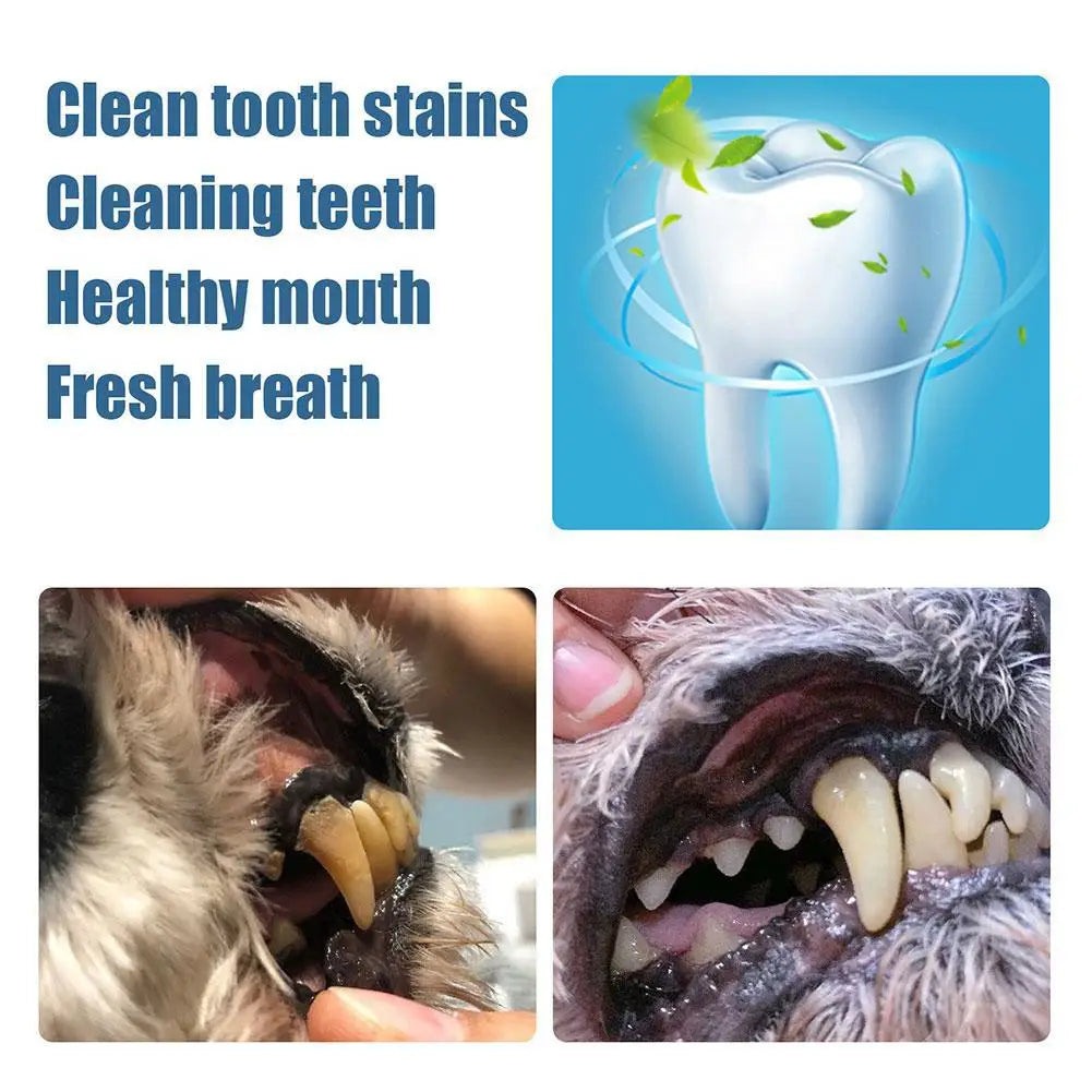 Teeth Cleaning Pen for Dog Pet Toothbrush Pen Dog Tartar Remover for Teeth Cat/Dog Tooth Whitening Pen Pet Oral Care Stick