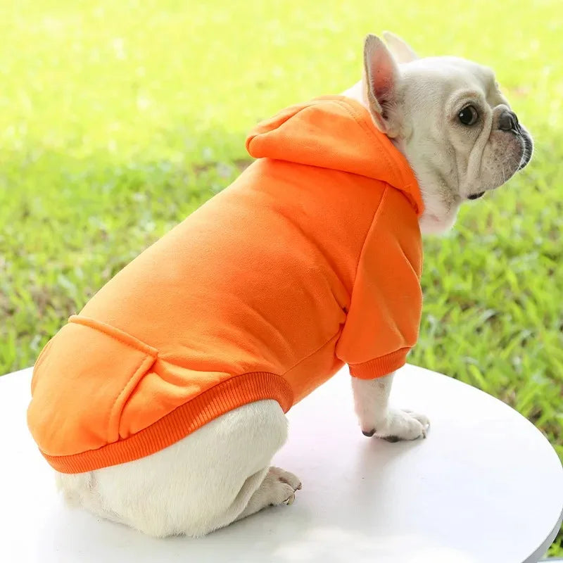 Autumn Winter Pet Cat Cotton Hooded Sweatshirts for Small Dogs Cats Clothes Warm Coat Puppy Hooded Sweats