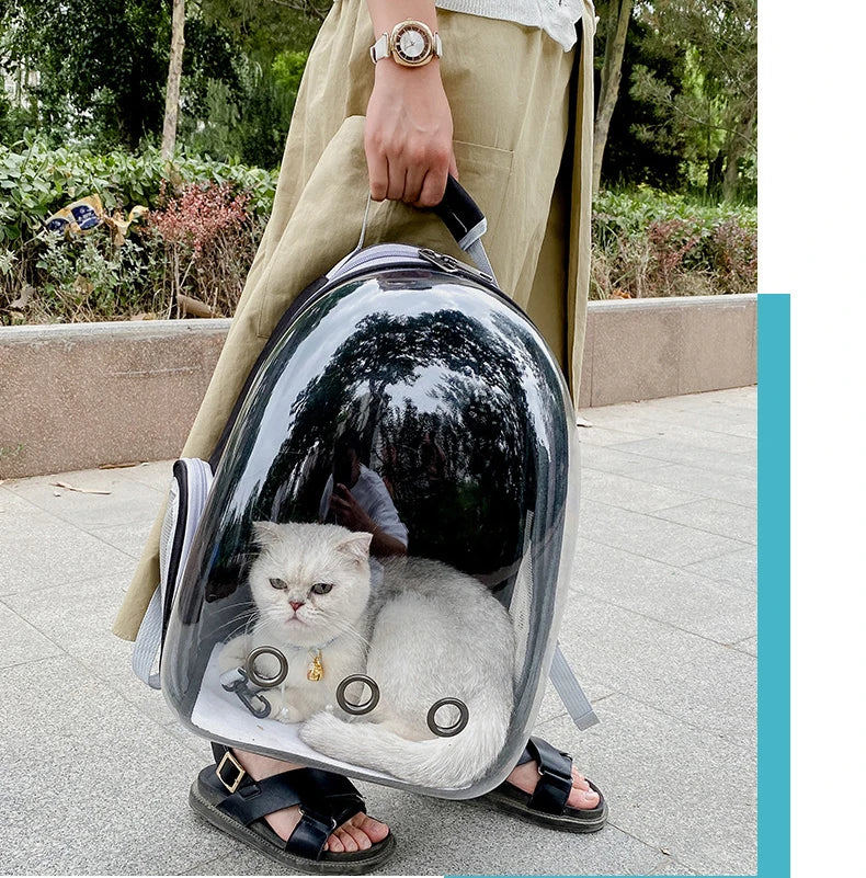 Cat Carrier Bag Outdoor Pet Shoulder bag Carriers Backpack Breathable Portable Travel Transparent Bag For Small Dogs Cats