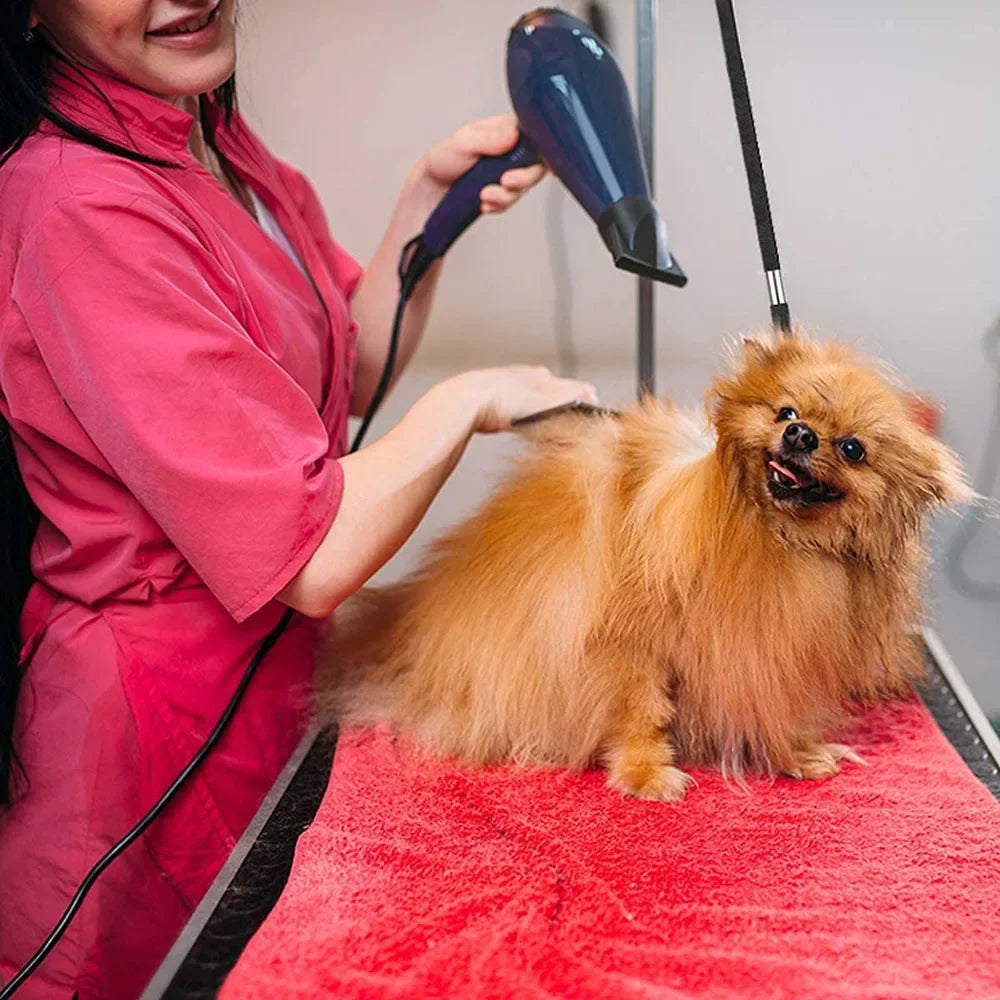 Adjustable Dog Cat Leash Leads for Pet Grooming Table Safety Rope Pet Grooming Loop Nylon Restraint Noose Pet Grooming Products