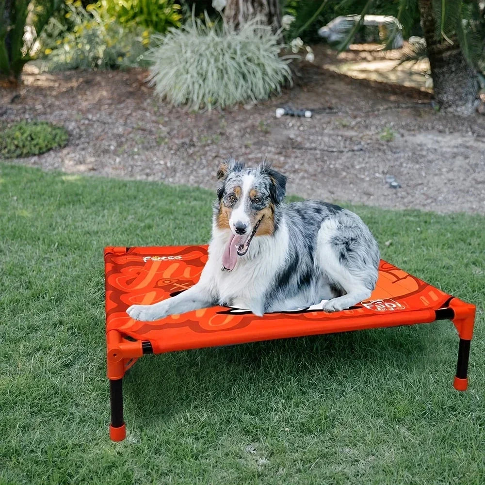 Elevated Dog Bed with Breathable Mesh | Portable Raised Pet Bed for Small, Medium & Large Dogs | Outdoor Cooling Dog Bed for Camping & Beach