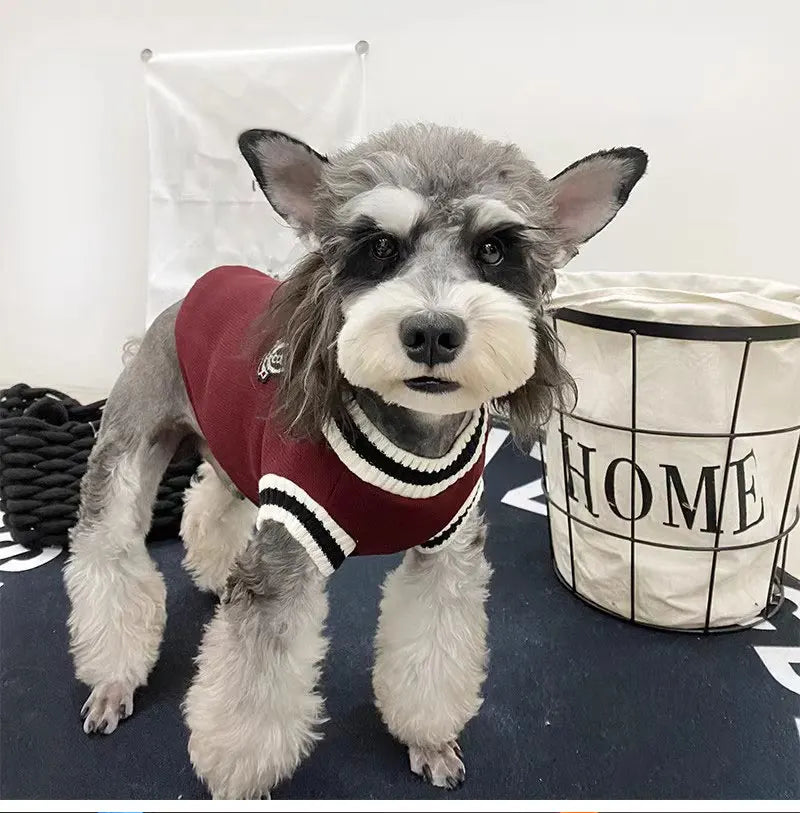 Winter Warm Pet Dog Sweater College Style V-neck Puppy Knitwear For Small Dogs Puppy Vest Clothes Kitty Jacket Outfits