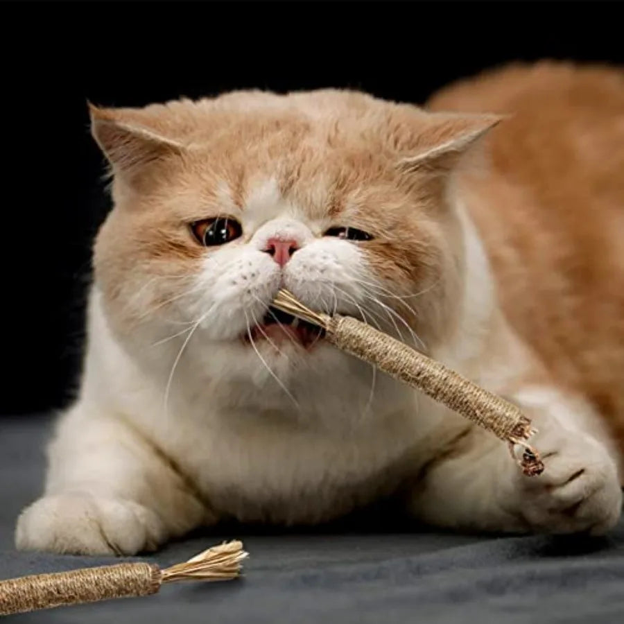 4 Pack tural Silvervine Sticks for Cats Chew Toys for Kittens Teeth Cleaning Catnip Toy Teething Stick Interactive Kitten Toys