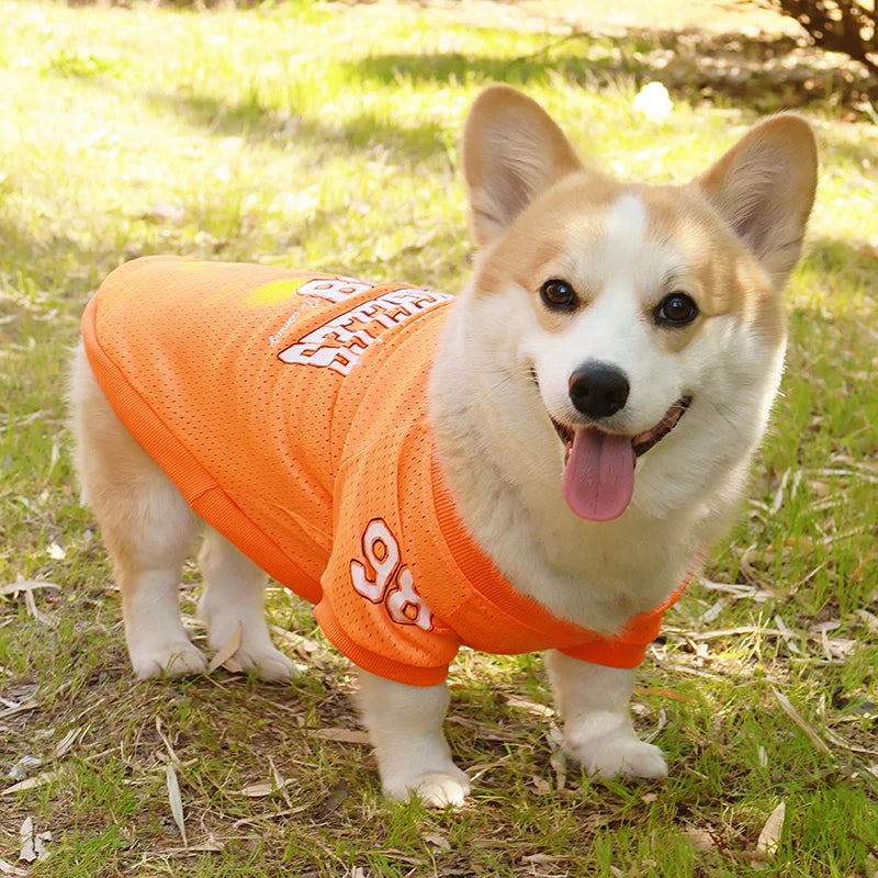 Keep your furry friend cool and stylish this summer with the CAIBAN Summer Pet Cooling Vest — perfect for small to large dogs, including French Bulldogs, Golden Retrievers, and more!