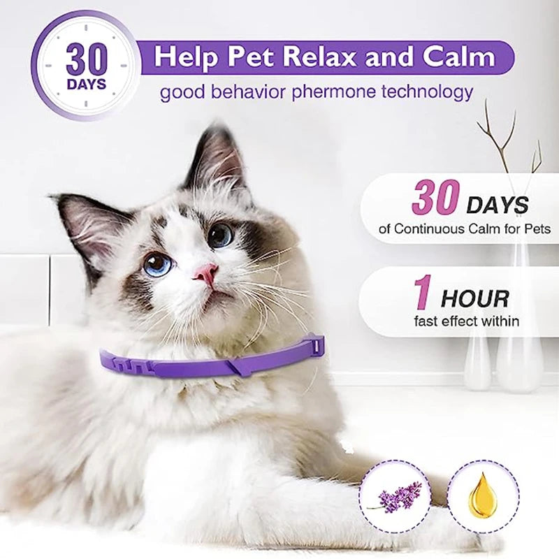 3/4 Pc Dogs Calming Pheromone Collars Cats Relieve Anxiety Adjustable Comfortable Collar For Puppy Kitten Large Pets Accessories
