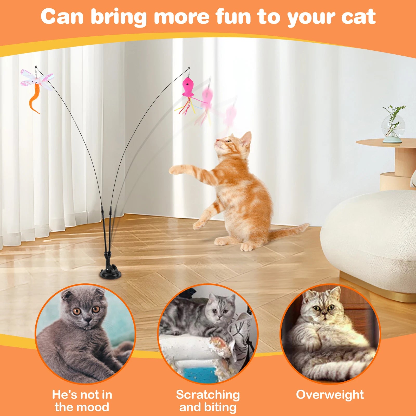 Pet Cat Toy Set Teaser Stick Set Detachable Replacement Head Toy Suit Interactive Cat Toy for Cat Training Playing Accessories