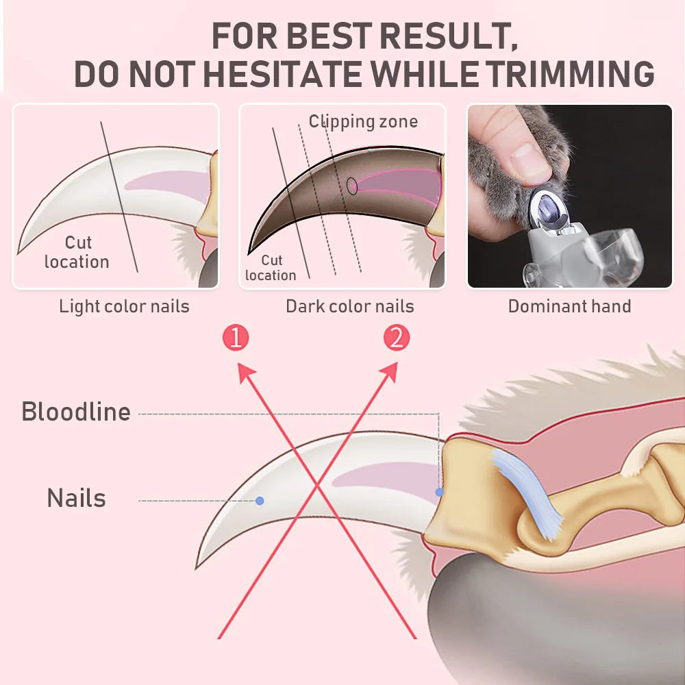 LED Light Pet Nail Clipper with Magnifier | Safe Nail Trimmer for Dogs & Cats | Precision Grooming Tool with Anti-Slip Handle