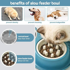 Pet Cat Feeding Bowl Stainless Steel Bowl Silicone Base Anti-Wrestling Dog and Cat Slow Food Bowl to Prevent Pet Choking Feeder