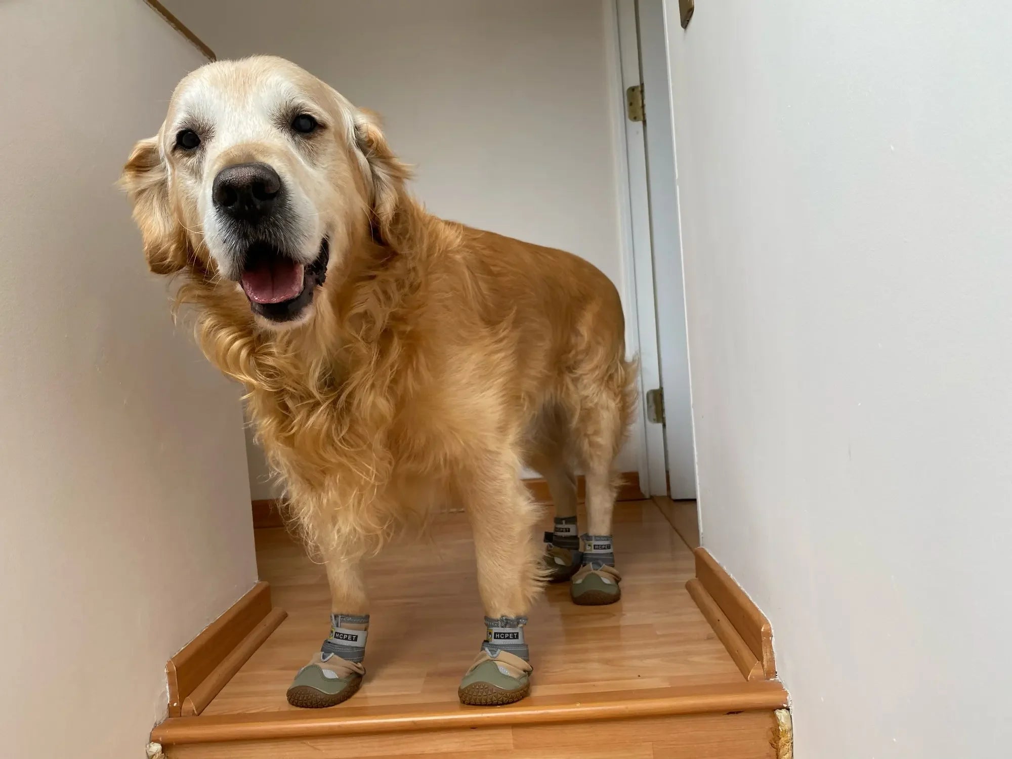 4pcs/set Pet Dog Shoes Reflective Waterproof Dog Boots Warm Snow Rain Pets Booties Anti-slip Socks Footwear For Medium Large Dog