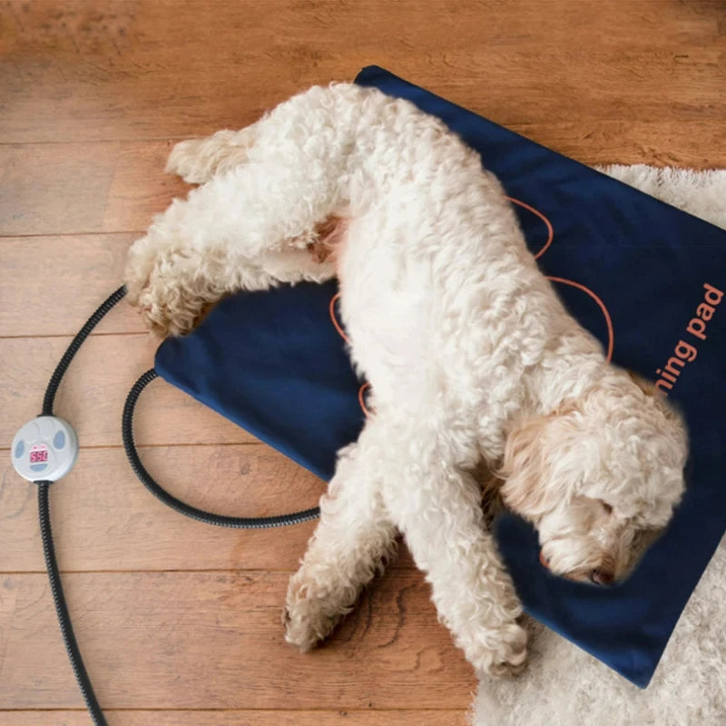 Waterproof Pet Heating Pad for Dogs & Cats – Electric Winter Warmer Blanket 45×60cm | Adjustable Temperature, Anti-Bite Wire & Auto Power-Off Safety