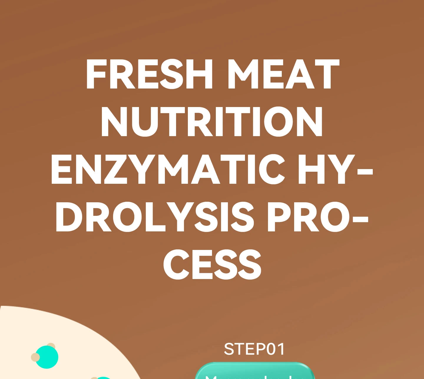 Chanbuni Cat Food Cat Snack Food for Cats Cat Supplies Premium Nutrition for Cats and Carats