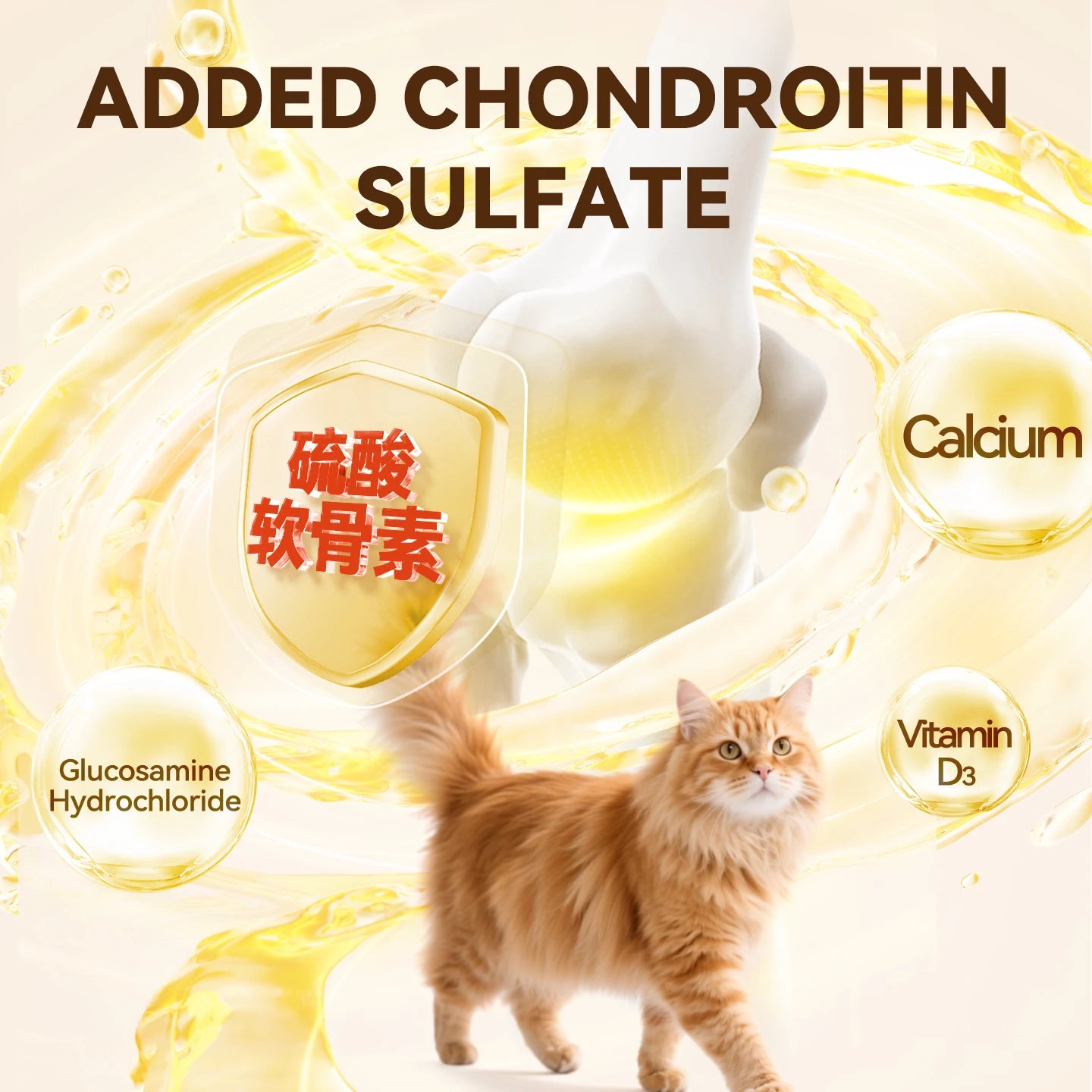 Chanbuni Cat Food Cat Snack Food for Cats Cat Supplies Premium Nutrition for Cats and Carats