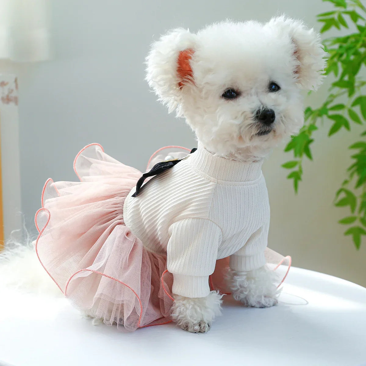 Spring Summer Pet Dog Cat Puppy Tutu Princess Dress Printed Lace Dog Skirt Pet Apparel Dog Dress
