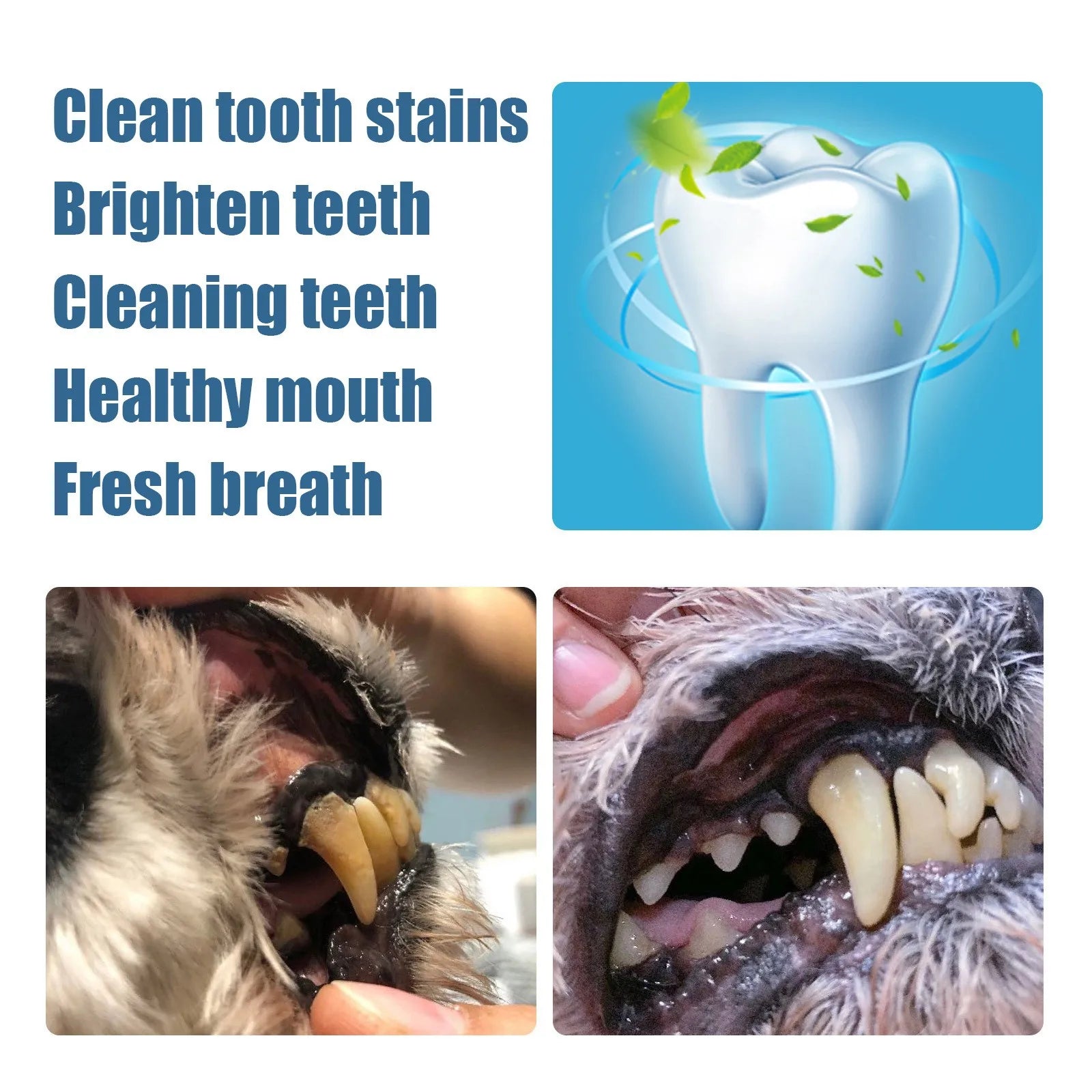 Pet Teeth Cleaning Pen Dog Teeth Cleaner Fresh Breath Cat & Dog Tartar Softening Shedding Pet Toothbrush & Toothpaste All-In-One