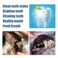 Pet Teeth Cleaning Pen Dog Teeth Cleaner Fresh Breath Cat & Dog Tartar Softening Shedding Pet Toothbrush & Toothpaste All-In-One