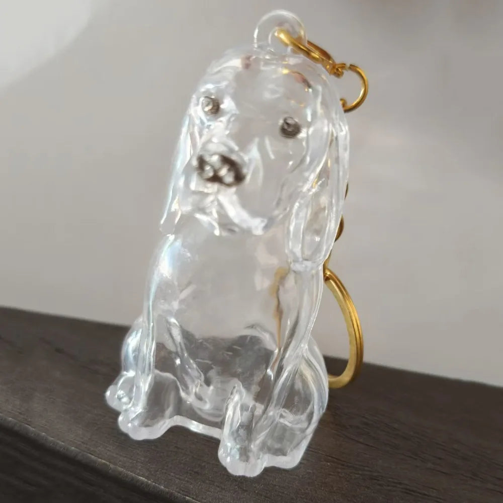 Dog Shape Dog Hair Storage Box Transparent DIY Handmade Pet Hair Keychain Hair Grooming Acrylic Puppy Pendants Jewelry Gift