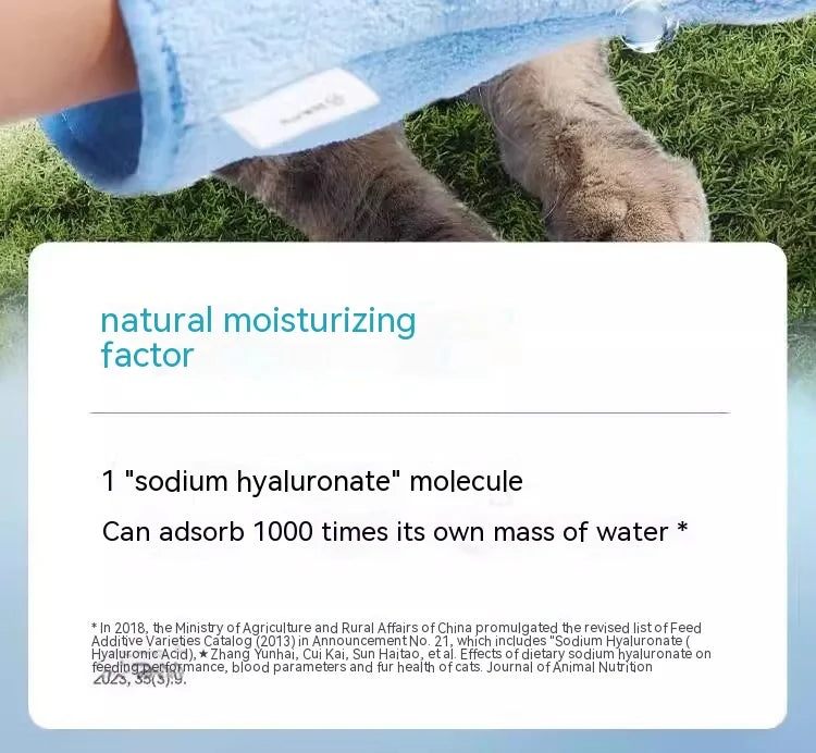 Pet Wash Free Gloves Cleaning Pet Decontamination Cleaning Massage Grooming Dog and Cat Supplies Wash Free Essence Gloves