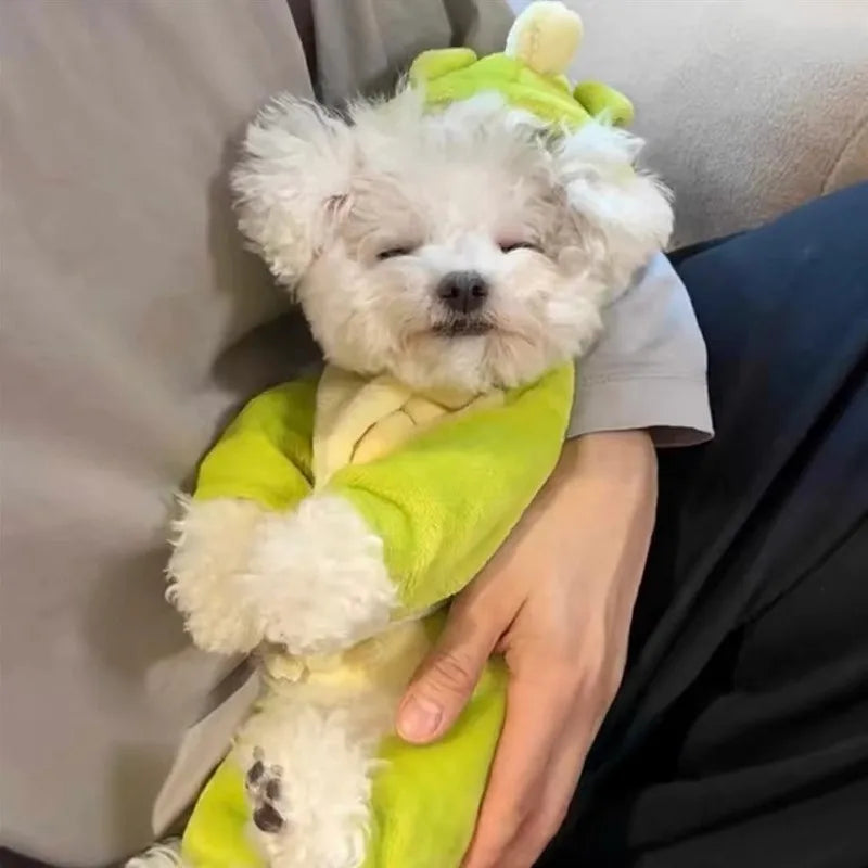 New Small Dinosaur Transforming Dog Clothes Autumn Winter Flannel Warm Teddy Cat Pet Clothes Dog Jumpsuits Rompers