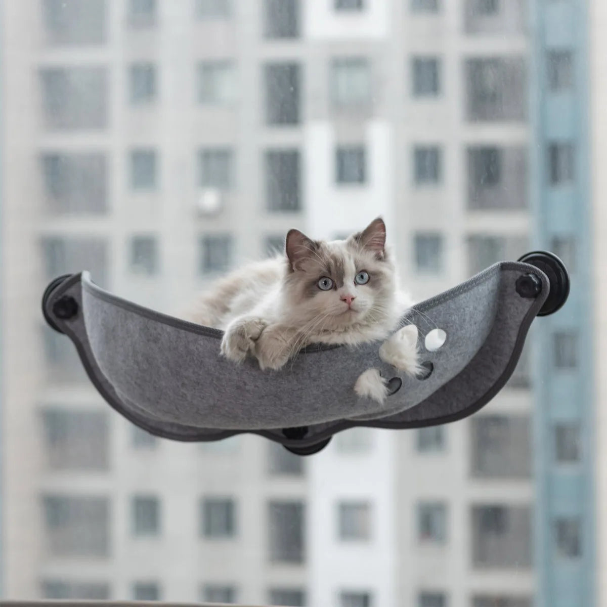 Hot Sale Pet Hammock Beds Bearing 20kg Cat Window Lounger Suction Hammock Pet Cat Window shelf Comfortable Cat Ferret Pet Bed